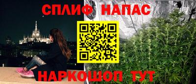 apvp Пушкино