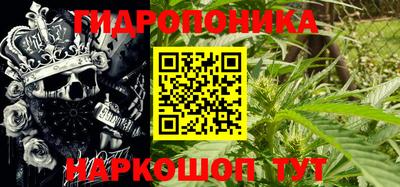 apvp Пушкино