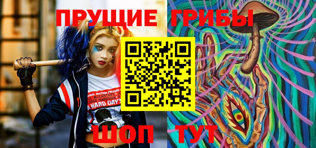 Новокузнецк  Галлюциногенные грибы прущие грибы  Вход с VPN 