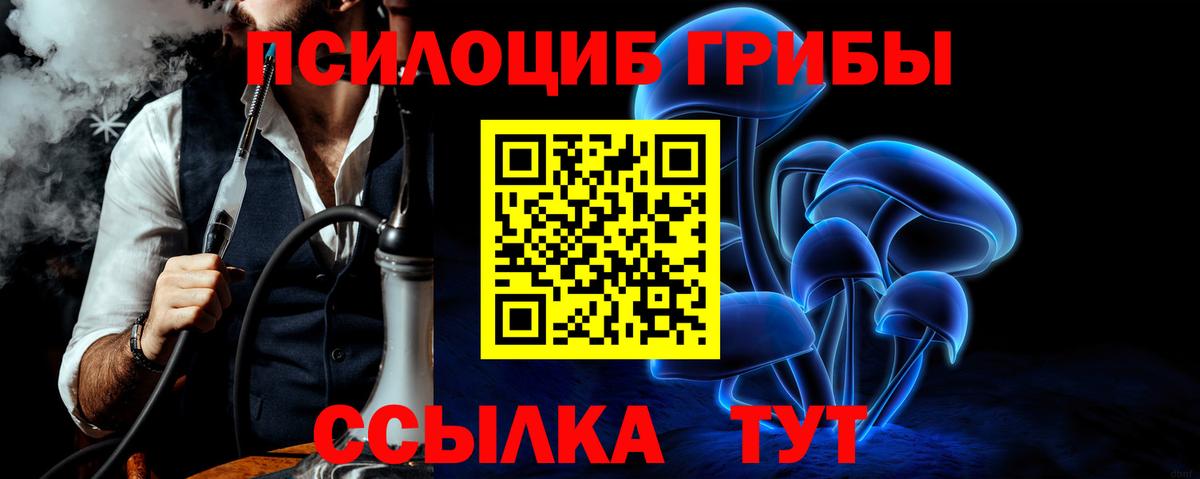 Галлюциногенные грибы MAGIC MUSHROOMS Новокузнецк